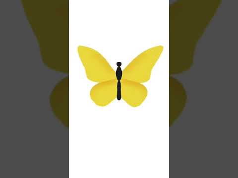 Butterfly drawing|| time lapse video ||Procreate drawing
