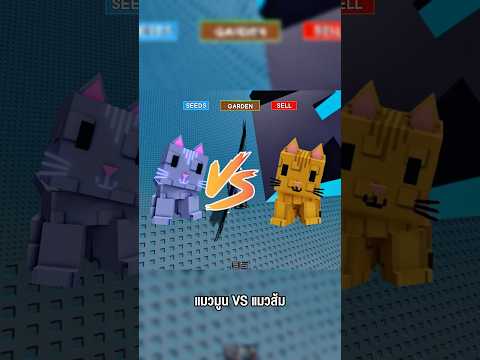 แมวมูน vs แมวส้ม ควรใช้ตัวไหนทำผลใหญ่ดี #godnkshop #roblox #growagarden #games