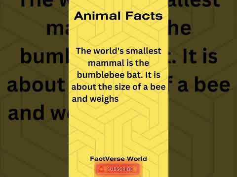 Animal Facts