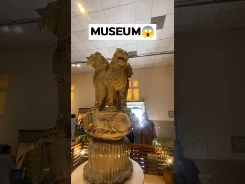Some historical remains of Sarnath Museum🪙 #viralshorts #ytshort #sarnathtemple