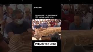 Archeologists Opening 2500 yrs old sealed tomb of mommy Egypt #ancientneareast #funerary #egypt #cj