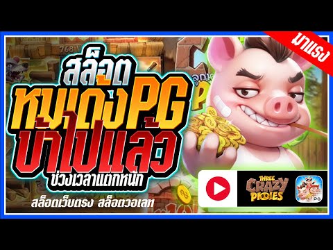 Three Crazy Piggies สล็อตPG ➤ หมูเด้งpg ไหลปานน้ำ!!! สล็อตแตกง่าย สล็อตวอเลท