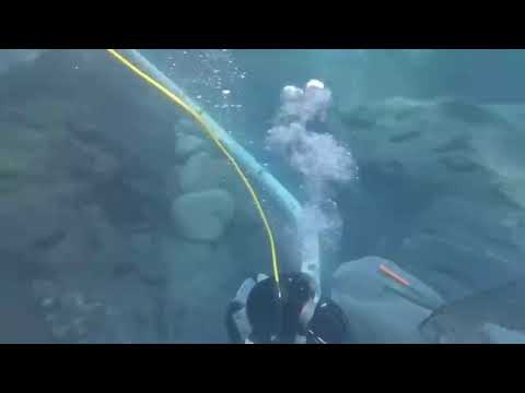 GOLD DREDGING GOLD NUGGETS. 4" GOLD DREDGE #gold   #goldmines   #mineral  #goldrush  #goldmining