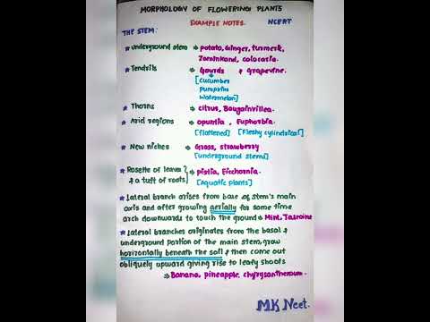 Morphology of flowering plants examples.Tricks¬es. Part_11#neet #neet2022 #neettricks #mkneet