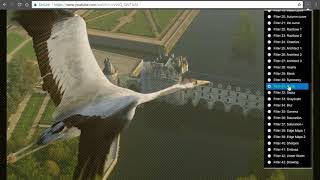 YouTube Video Filters