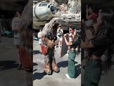 Giving a Rug to Chewbacca