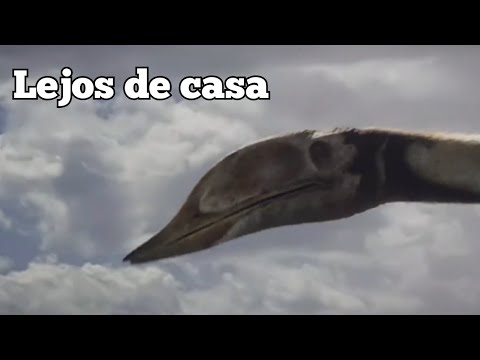 Análisis al Azhdarcho del Asombroso Dinomundo