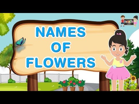 Flowers names in English Urdu and Hindi | پھولوں کے نام انگلش اور اردو میں  | Flowers Vocabulary