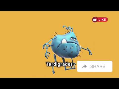 Animals That Could Survive a Zombie Apocalypse | Avery Bliss