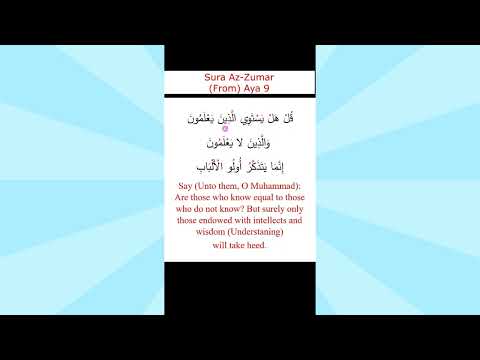 Quranic Suras and Ayat #quranicarabic سور و آيات من القرآن