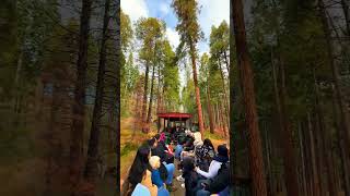 TRAIN RIDE DETAILS BELOW 👇🚂 Climb aboard the Yosemite Mountain Sugar Pine Railroad! 📍