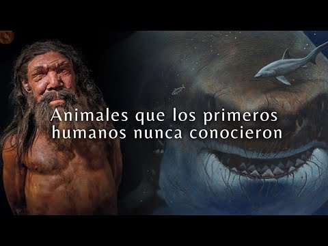 ¡Animales increíbles que los humanos prehistóricos nunca conocieron!