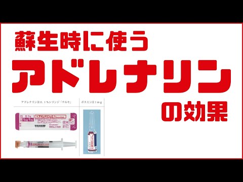 【急変時の対応】蘇生時に使うアドレナリン（ボスミン）の効果を理解する-ACLS/事前学習・振り返り-