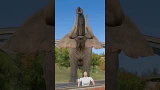 How To Survive Elephant Attack?