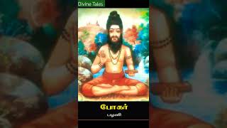 Blessings of 18 Siddhars with this Devotional song _ Divine Tales