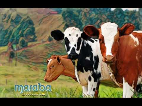 Cityzeen Ls - Maraba (Official Audio)