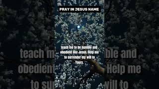 Pray in Jesus name amen #prayer #devotational #trendingshorts