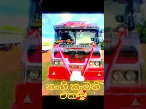 මම කැමති එක😎😎  #automobile #bus #dj #srilanka #dhamrajini #buses #driver #mayakari #shorts #viral