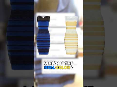 Why Do We See this Dress Differently?! 🤯