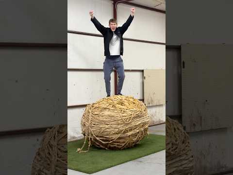 Moving My 1200 Pound Rubber Band Ball #shorts