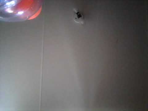 I'm back onets again with a video? Gain Gain