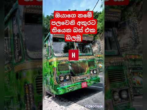 ඔයාගෙ නමේ මුල් අකුරට තියෙන බස් එක මොකක්ද. කමෙන්ට් කරමු.