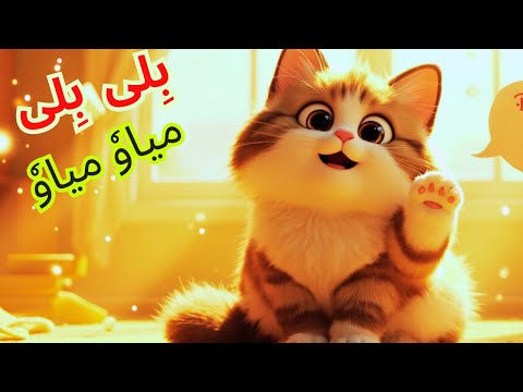 Billi Billi Mewo Mewo | Urdu Hindi Poem for Kids | Funny Cat Song | بچوں کی نظم |B&B Kids