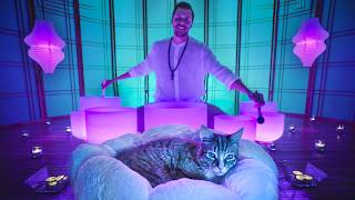 Healing Cat's Purr Sound Bath - Crystal Singing Bowls with Gentle Cat Purring 🐈