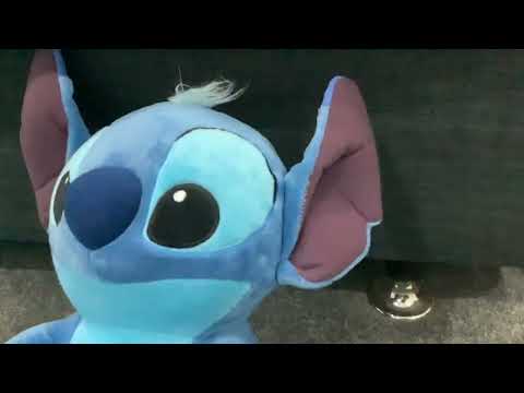 Stitch Throws Tantrum At The Supermarket