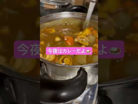 今夜はカレーだよ🍛