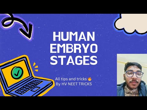 HUMAN EMBRYO STAGES CLASS 12 IN FUNNIEST WAY FIRE 🔥 | WATCH RIGHT NOW ✅️  | DO COMMENT 🙏