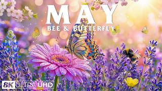 Springtime Splendor 4K | Gentle Bees & Dancing Butterflies 🌷 A Garden Alive with Beauty