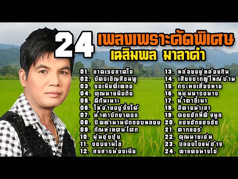 24 เพลงเพราะคัดพิเศษ เฉลิมพล มาลาคำ