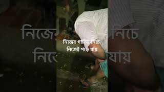 অটো রিকশা কখনো বালো না #bangladesh_quotha_movement #focus_on_bangladesh