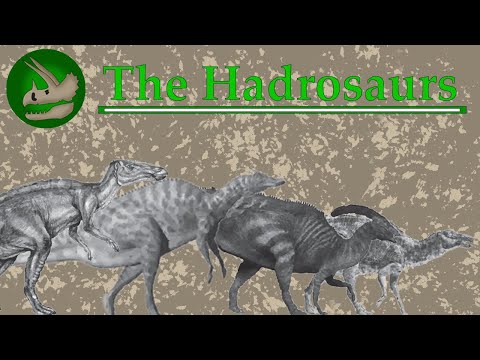 The Hadrosaurs | Overlooked Underdogs