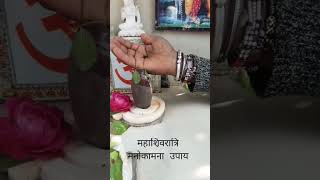 सात काली तिल और एक काली मिर्च#महाशिवरात्रि उपाय# मनोकामना पूर्ति उपाय# श्री शिवाय नमस्तुभयम#शॉट//