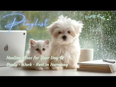 공부 작업 휴식 힐링 음악 플레이리스트 Healing Music Playlist for Study, Work & Rest 🌿