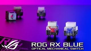ROG RX Blue Optical Mechanical Switch _ ROG