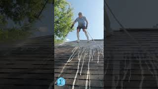 Pool Enclosure Cleaning in Longwood Florida | Immaculate SoftWash