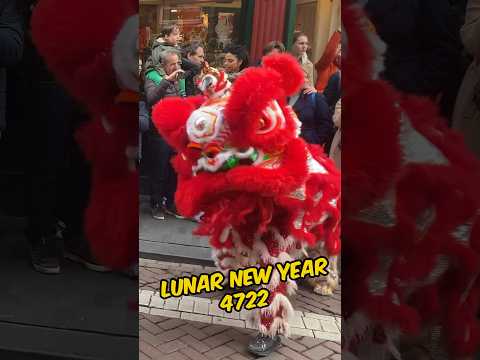 Lunar New Year - Amsterdam - The Year of the Dragon 2024 #amsterdam #lunarnewyear2024