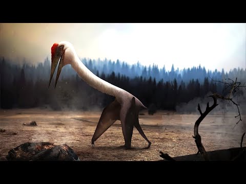 Quetzalcoatlus: Giant Pterosaur that Ruled the Mesozoic Skies