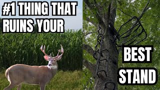 THIS RUINS YOUR BEST STAND…THE #1 MISTAKE WE MAKE WHEN USING SCREENINGS. 