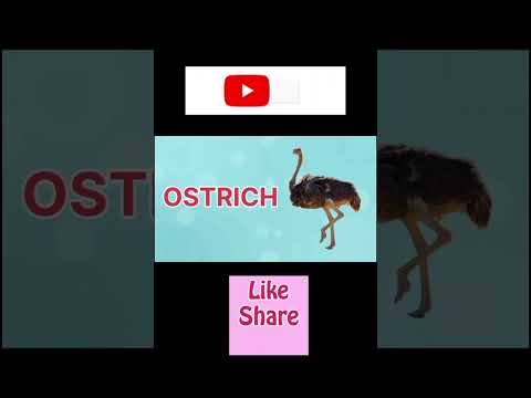 A to Z Birds Names | Names of birds with urdu meanings | #birdsnamewithpictures #foryou #subscribe