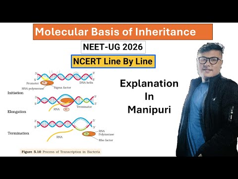 Molecular Basis of Inheritance || NCERT Line by Line