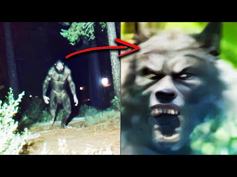 Michigan Dogman Is Terrifying Farmers - CRYPTID SIGHTINGS STORY