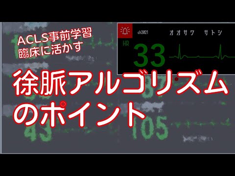 【看護師向け】徐脈アルゴリズムのポイント【ACLS事前学習/自己学習/心電図】