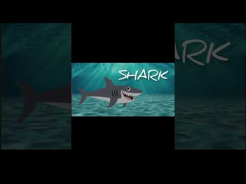 Names of animals that lives in water |آبی مخلوق | #animals #wateranimals