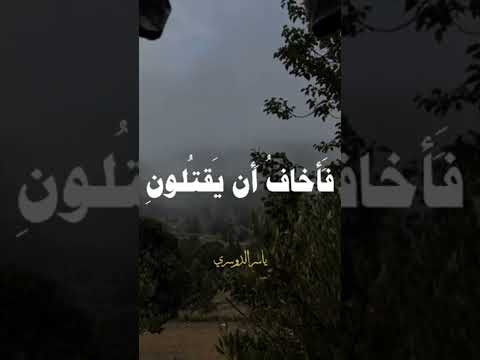 #قرآن #آية_الكرسي #سورة_البقرة #الطمأنينة #السكينة #الله #short #quran #islam #fyp #الراحة_النفسية
