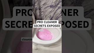 Pro Cleaner SECRETS Exposed #cleaningtips