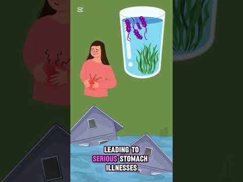 Is Climate Change Making People More Sick?  #science #environment #climatechange #sick
